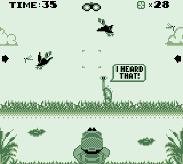 duck hunt gb