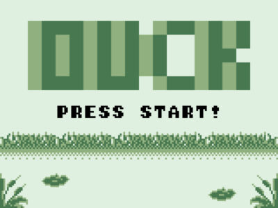 duck hunt gb